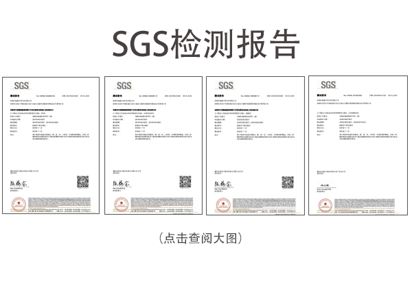深圳起航-SGSPH劑檢測報告