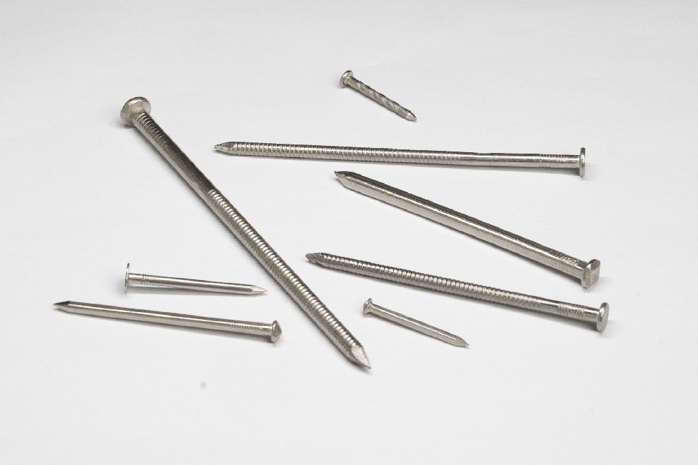 Stainless Steel Nails
